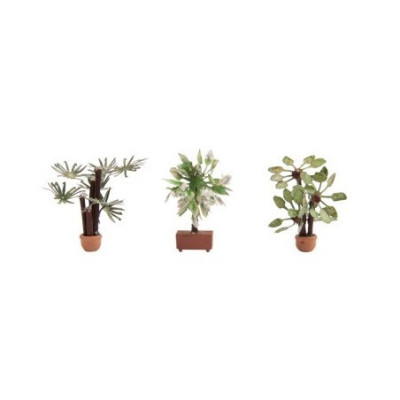 PLANTES MEDITERRANEENNES, HO, PAR NOCH 14023