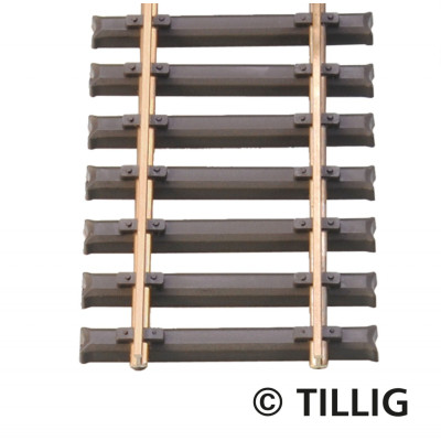 BOX OF 10 FLEXIBLE TRACKS 47 CM TILLIG STEEL CROSSBODY 85136