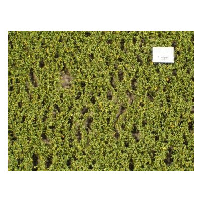 FEUILLE DE BOULOT AU DEBUT DE L'AUTOMNE MININATUR 910-13 SX